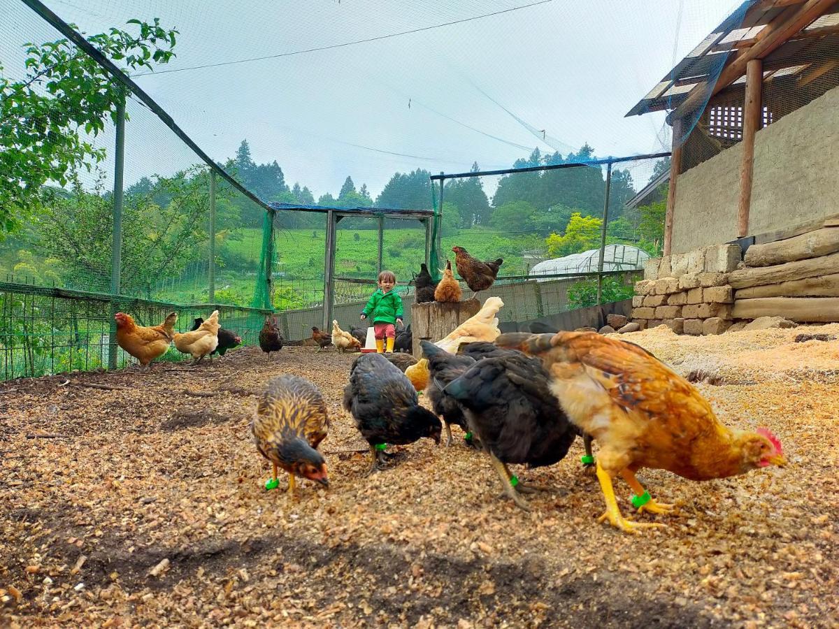 Yokomura Eco-Lodge Uenohara Dış mekan fotoğraf